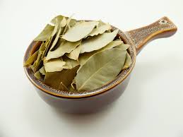 Fresh Bay leaf