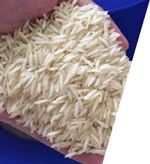 Common Long Grain Basmati Rice, Color : White