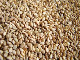 Organic white sesame seeds