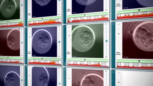 Embryoscopy