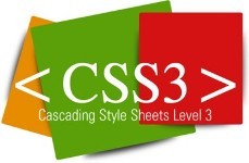 CSS3 Training Services