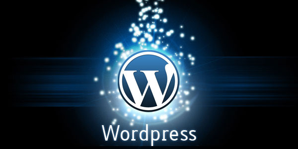 WordPress Training Services