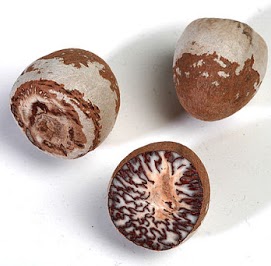 areca nut