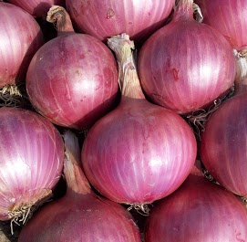 Fresh onion, Shelf Life : 15days