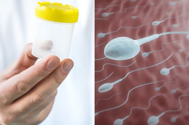 Egg & Sperm Donation