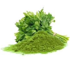 Coriander Leaves Powder