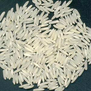 Hard Sharbati Rice, Packaging Size : 25kg, 50kg