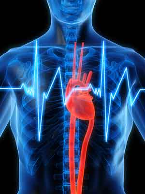 interventional cardiology treatment services