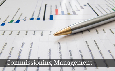 Commissioning Management Services