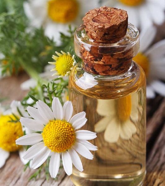 Chamomile Oil, Feature : Freshness, Hygienically Packed