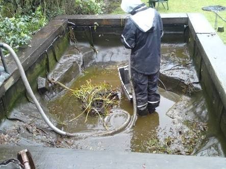 Pond Cleaning