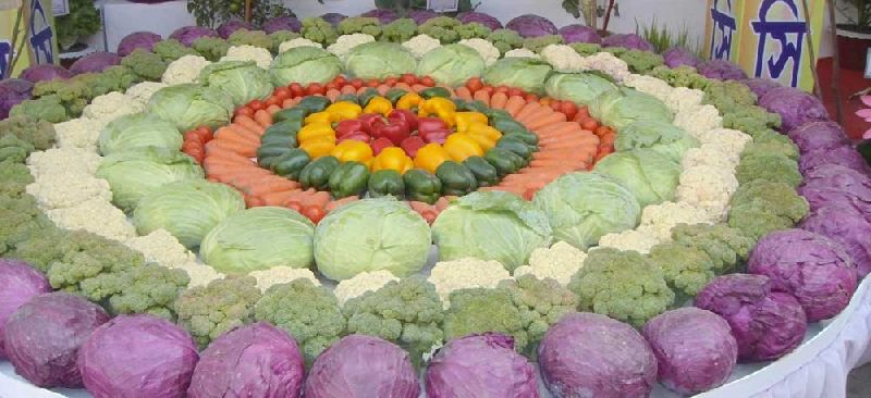 Fresh cauliflower, Packaging Size : 10-50kg