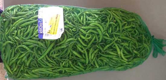 Organic Fresh Green Chili, Packaging Type : Jute Bag