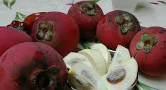 Organic Fresh Velvet Apple, Variety : Delicious