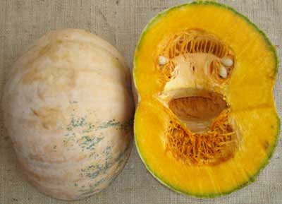 Organic Full Mature Pumpkin, for Pesticide Free ( Raw Products), Grade : Superior