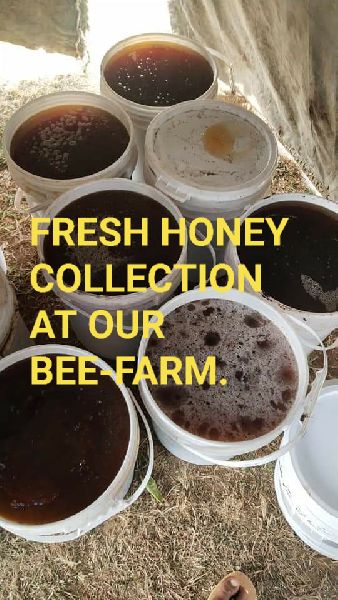 Organic Honey, for Personal, Clinical, Cosmetics, Foods, Gifting, Medicines, Feature : Digestive