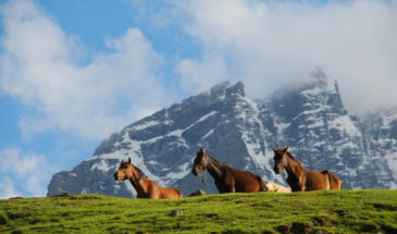 Sonmarg Tour Package