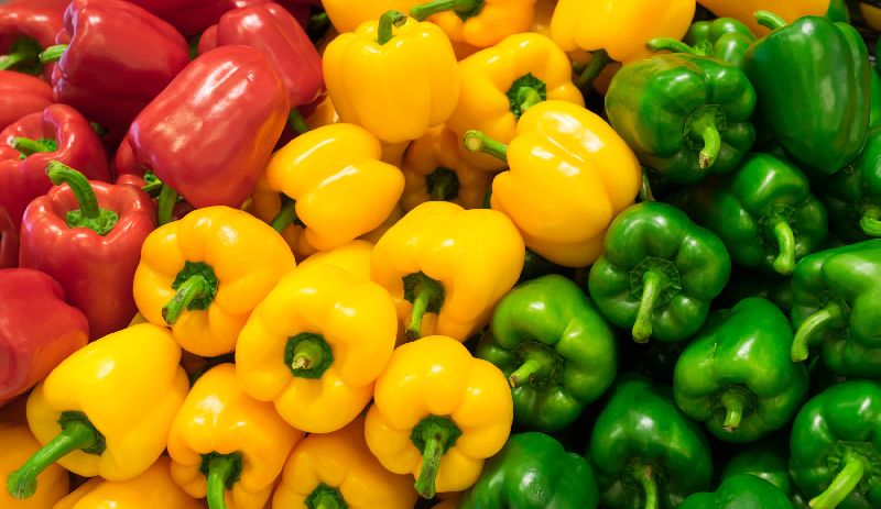 Fresh Bell pepper, Packaging Size : 20 50 kg
