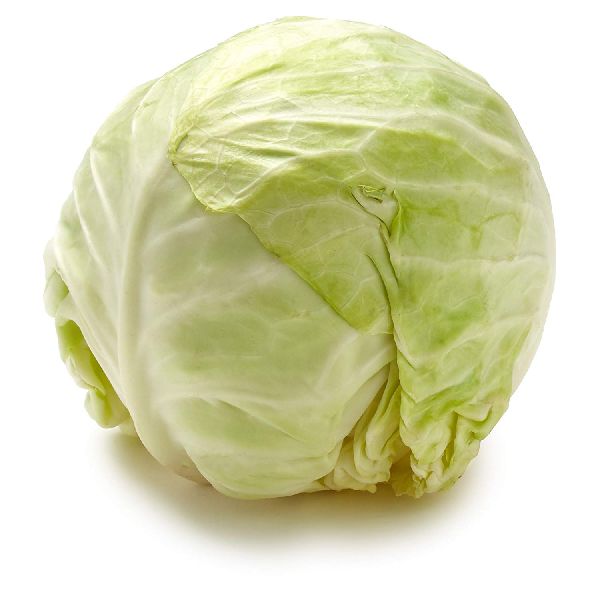 Fresh Cabbage, for Pesticide Free