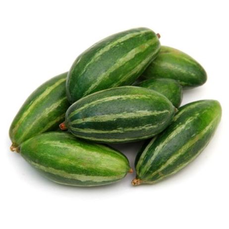 Common Fresh Pointed Gourd