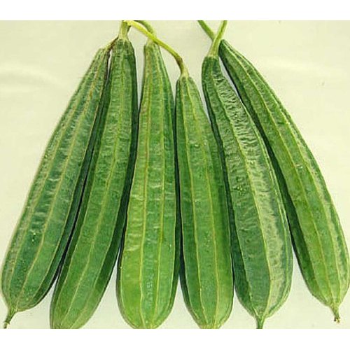 Fresh Ridge Gourd, for Pesticide Free ( Raw Products)