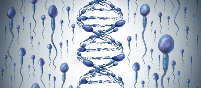 DNA Fragmentation Index