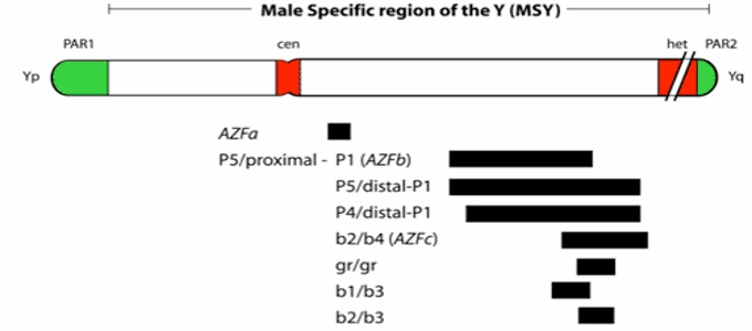 Y-Microdeletion Treatment