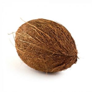 Brown Coconut