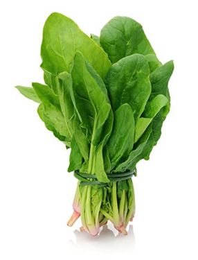 Fresh Spinach Leaves