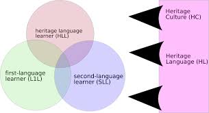 America institute of learning language