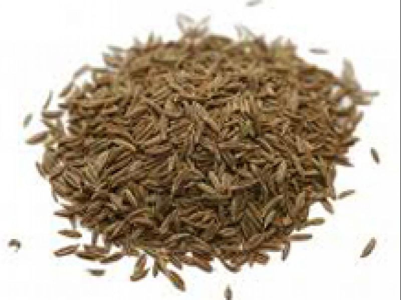Cumin Seed, for Cooking, Style : Dried