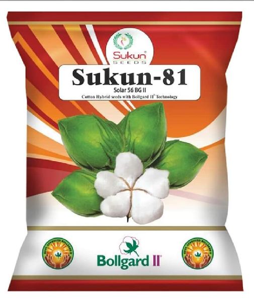 Organic Sukun-81 Hybrid Cotton Seeds, Packaging Type : Plastic Pouch