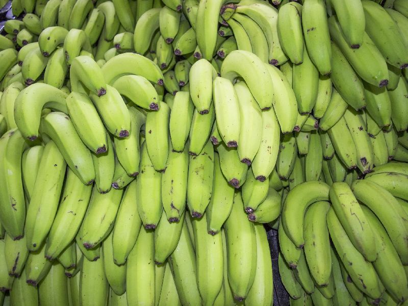 fresh green banana