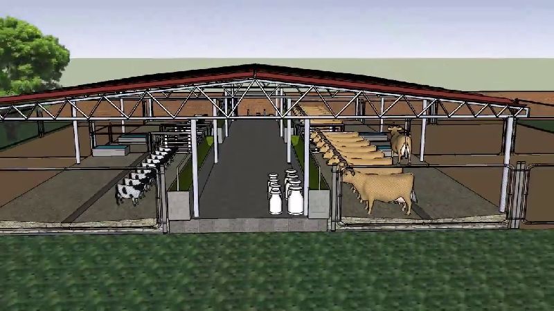 Goat Farm Shed By Minerwa Agro Dairy Solutions Goat Farm Shed INR 