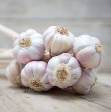 Organic Garlic, Style : Fresh
