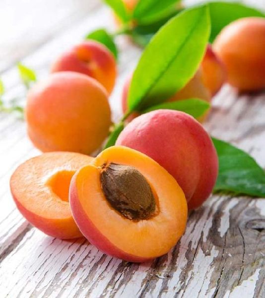 Fresh Apricot by Balk by wholesale