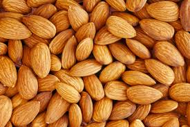 Hard Organic almond nuts, Packaging Type : 10kg, 20kg