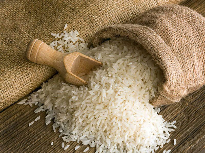 Organic Non Basmati Rice, for High In Protein, Variety : Long Grain, Medium Grain, Short Grain