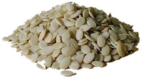 White Watermelon Seeds, Packaging Type : Plastic Bags