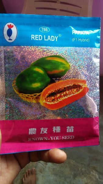 Red lady papaya 786 hybrid seeds, Purity : 100 % Pure