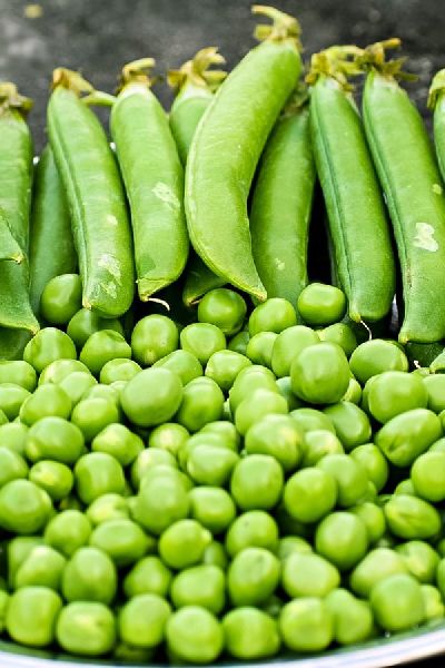 Organic Fresh Green Peas, Packaging Type : Jute Bags, Plastic Packets