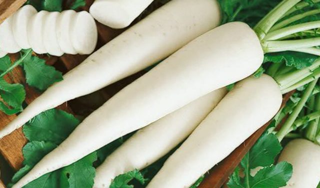 Fresh Radish, Color : White