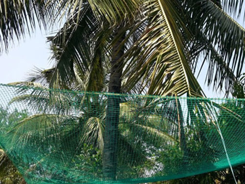 Coconut Safety Net Installation Services