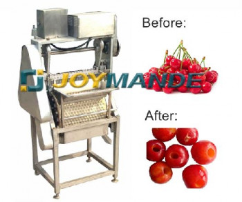 Industrial Automatic Cherry Pitting Machine Cherry Core Removing Machine With CE