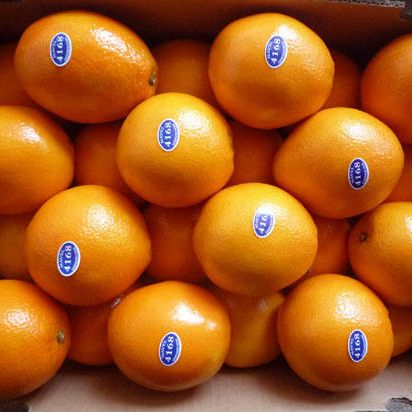 Best Grade Sweet Fresh Mandarin For Sale