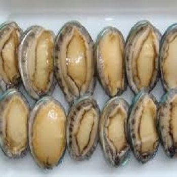 Competitive Sale Priced Frozen Abalone For Sale