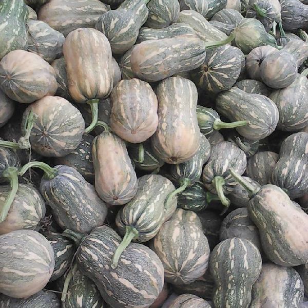 Fresh and Frozen Pumpkin With Best Quality, Best Price