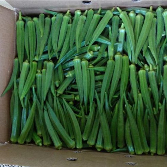 Good Quality Okra For Sale At Very Good Prices