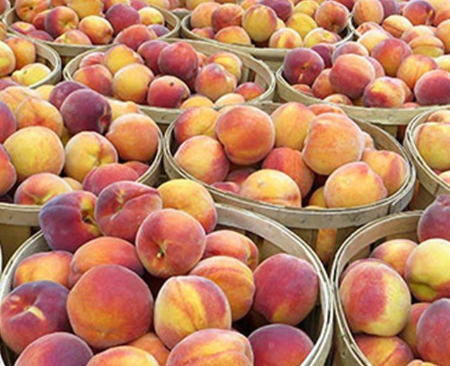 Fresh Peaches