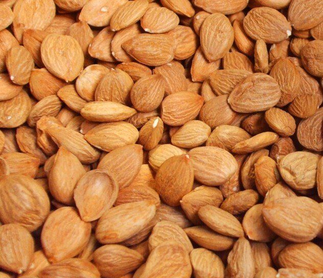 Grade A Apricot Kernels For Sale